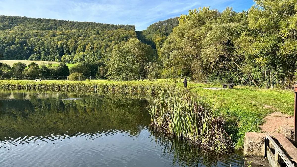 AngelTeiche in der Nähe